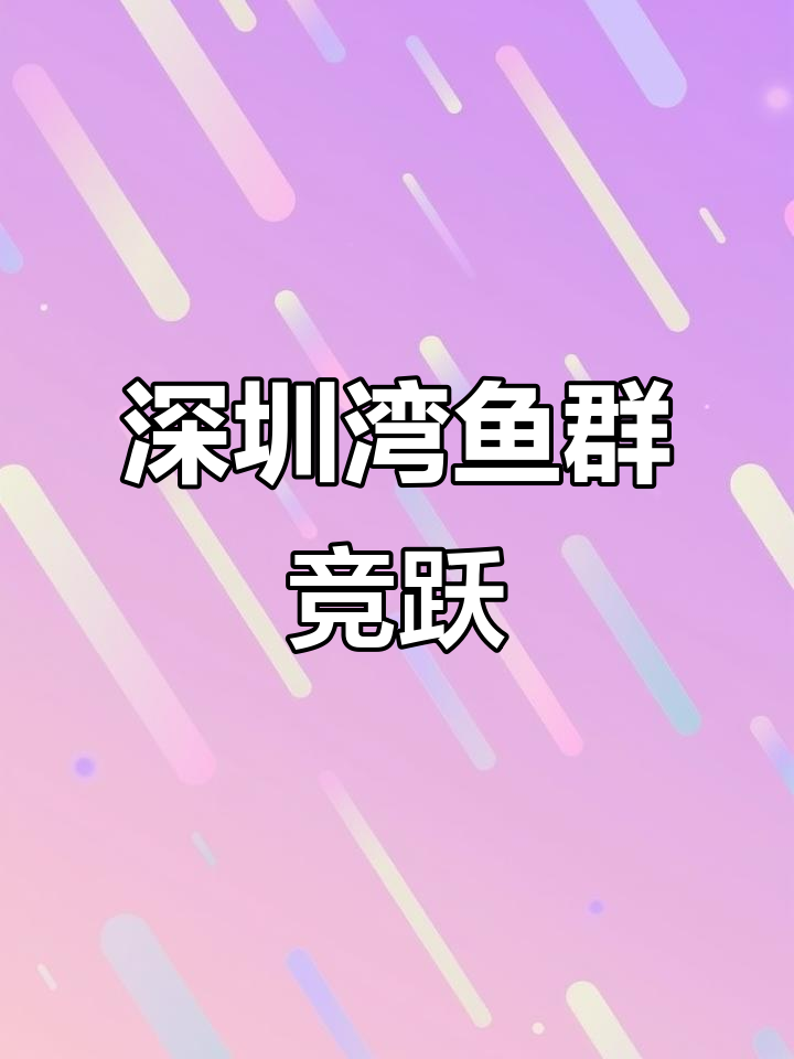 深圳湾鱼群跃动,游客惊叹壮观场面