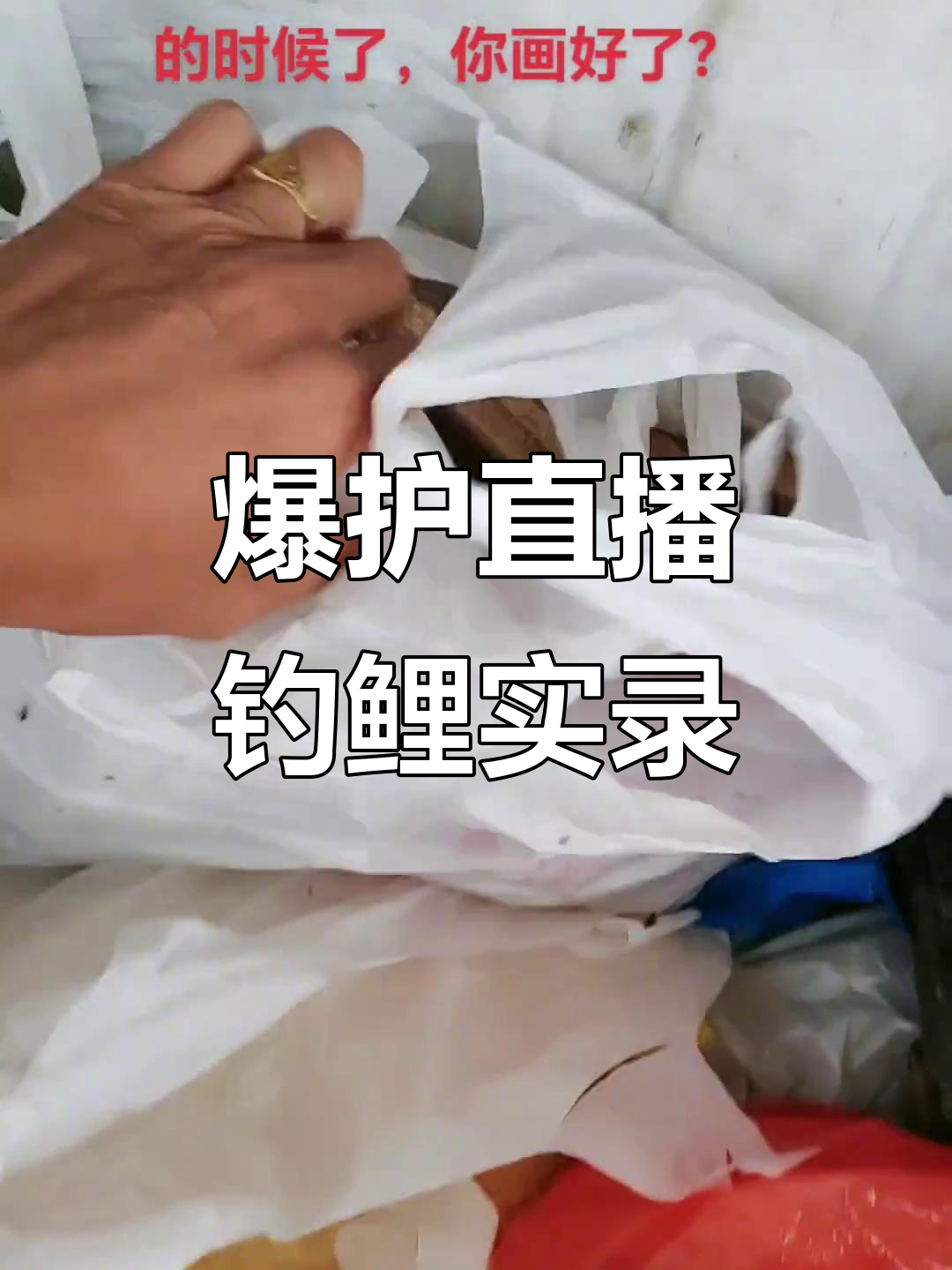 鲤鱼爆护现场直播,钓鱼大神带你挑战极限