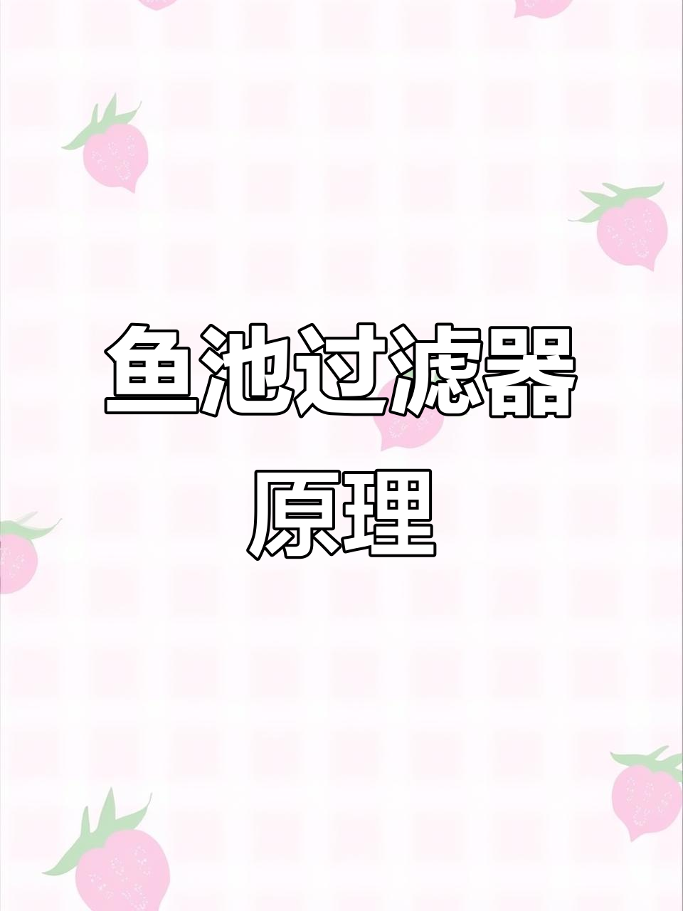 鱼池过滤系统全解析：拔管仓、沉淀仓等各部分功能详解