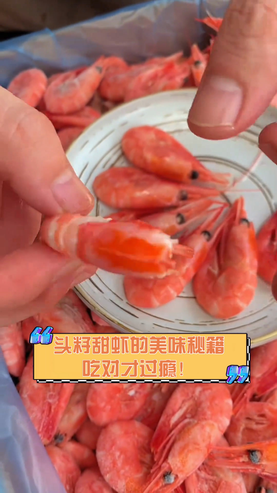 头籽甜虾的美味秘籍,吃对才过瘾!