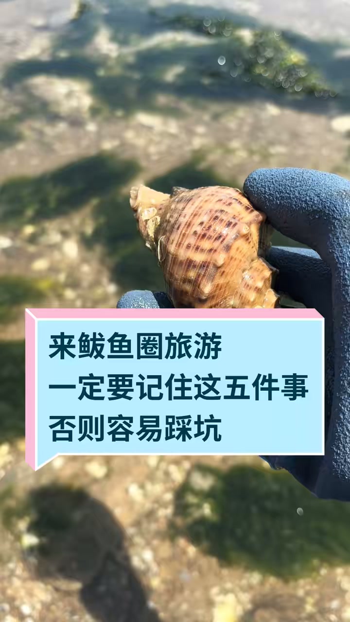 来鲅鱼圈旅游一定要记住这五件事，否则容易踩坑！