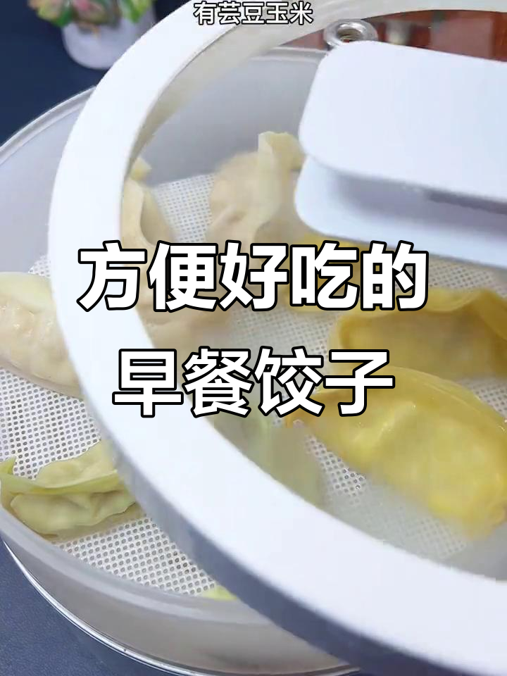 早餐懒人必备!全家福饺子,皮薄馅多,加热即食