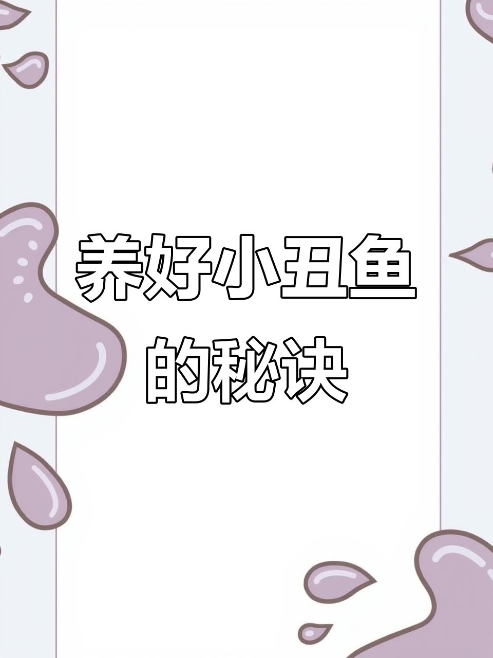 海水观赏鱼养殖技巧:水质、饲料管理全攻略