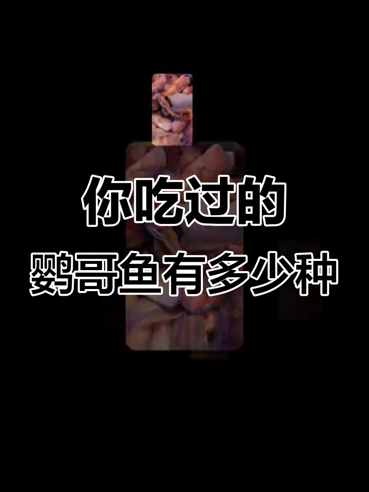 鹦哥鱼段位大揭秘,从青铜到王者你吃过几种?
