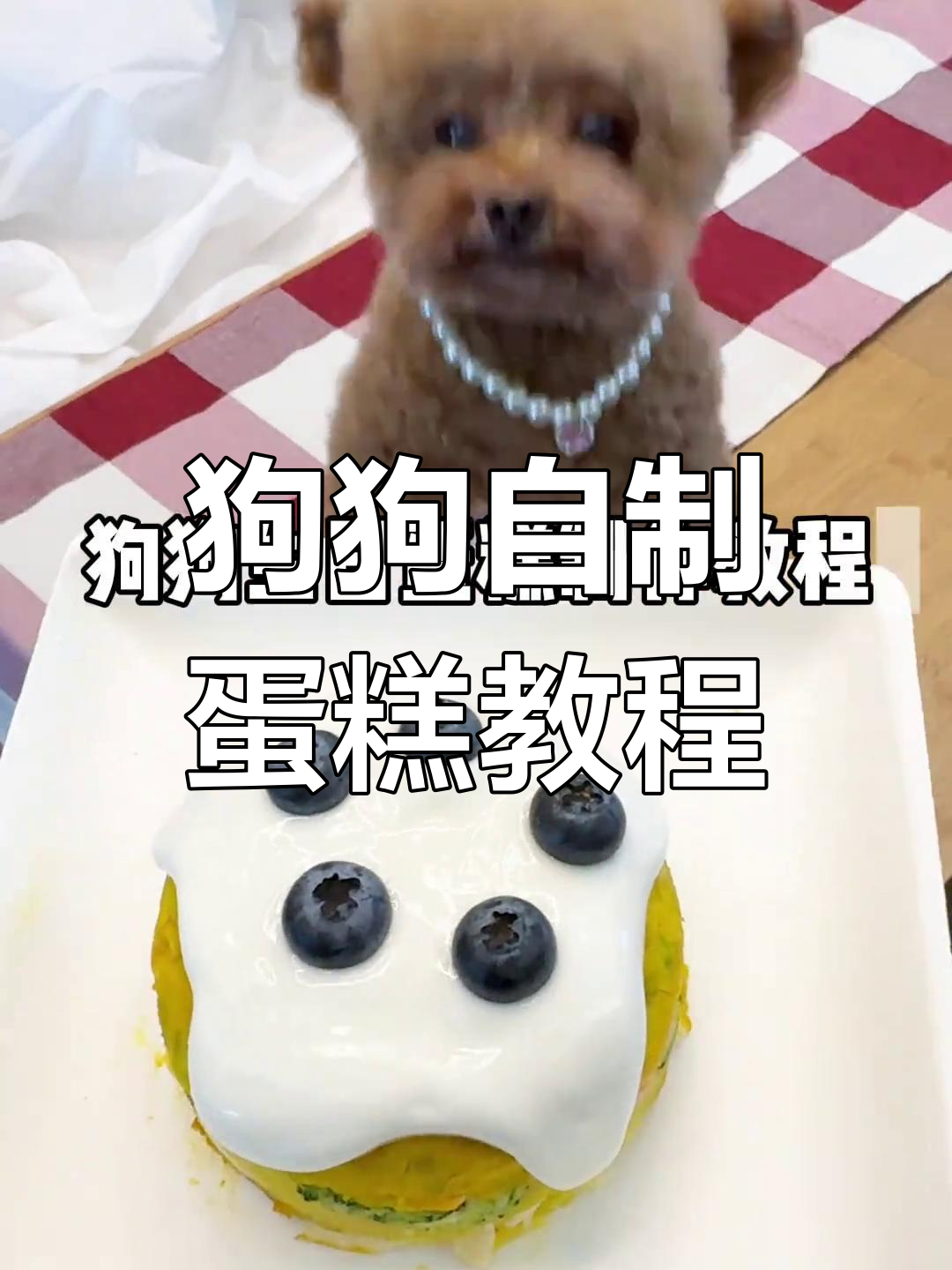 自制狗狗生日蛋糕,简单又美味!