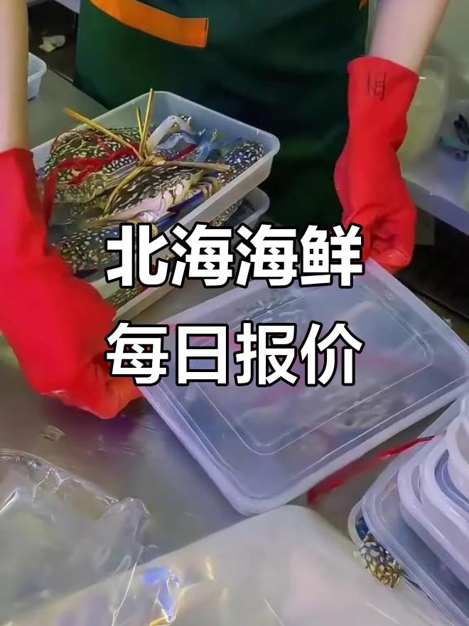 北海海鲜市场行情：大金鲳鱼、石斑肥鱼价格一览