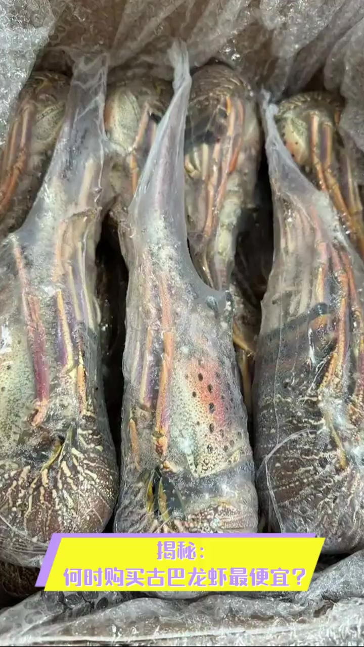 揭秘:何时购买古巴龙虾最便宜?