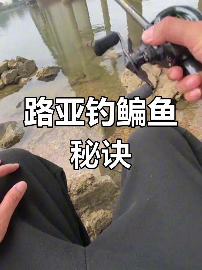 西江路亚钓边鱼技巧,轻松连竿