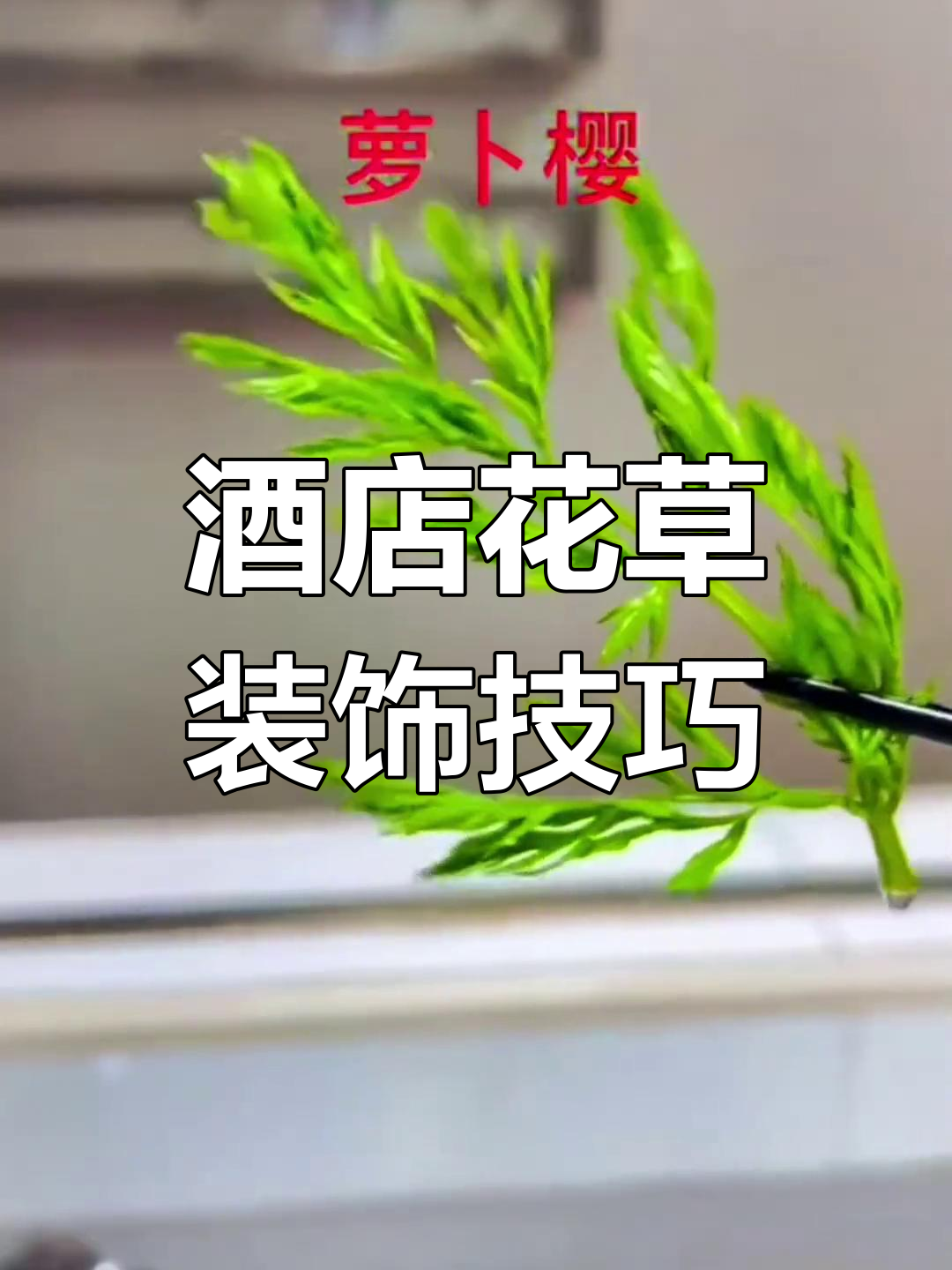 花卉装饰技巧大揭秘,酒店摆盘必备花草清单