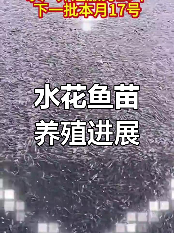 达州水花鱼苗养殖,本月17日迎来新一批