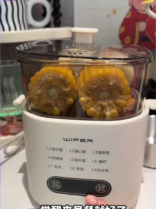 多功能蒸蛋煮蛋器全自动预约早餐机 家用迷你蒸蛋器自动断电2024款煮蛋器上蒸下煮一锅出厨房