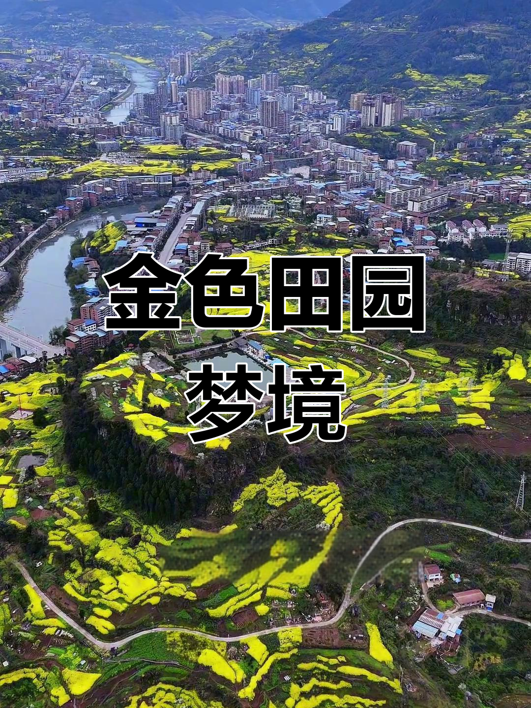 油菜花如梦般环绕,田埂划出金色梦境
