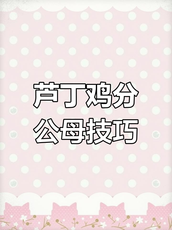 如何分辨芦丁鸡公母?