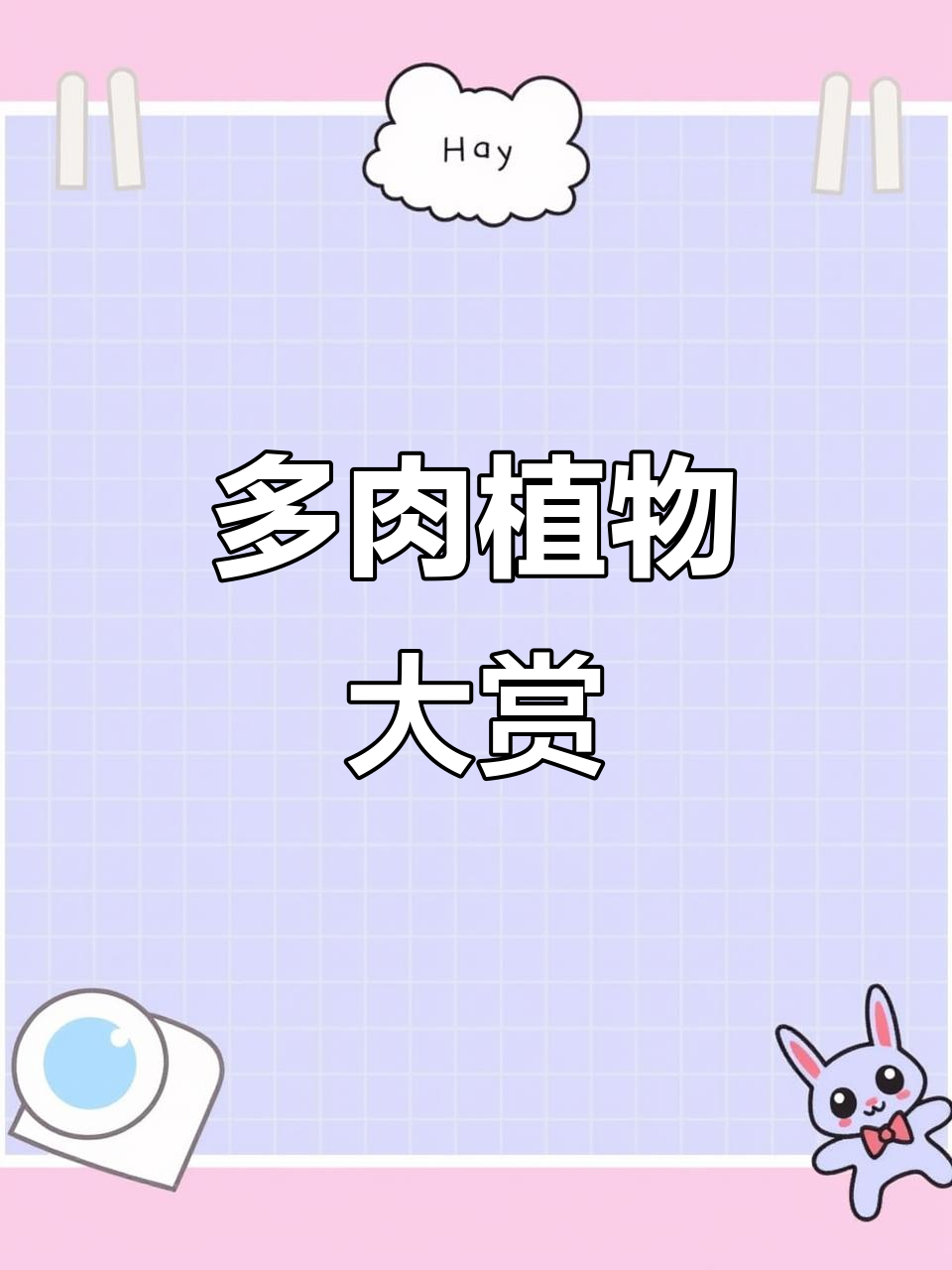 青唐花街的多肉植物,总有一款让你心动