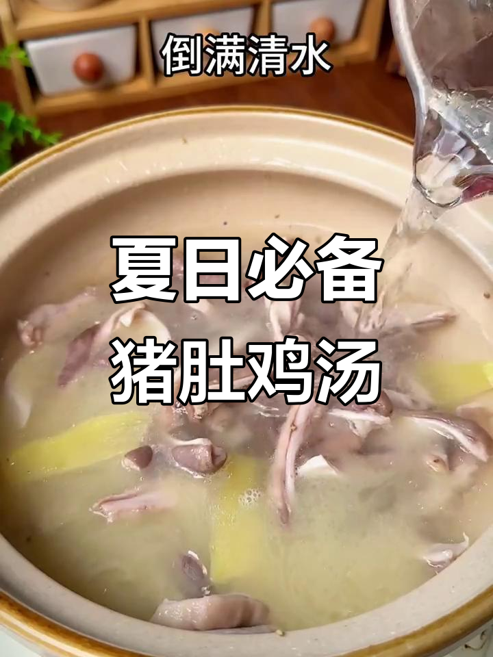 三伏天食欲不振？快来试试这道猪肚鸡汤，喝完保证爱上！