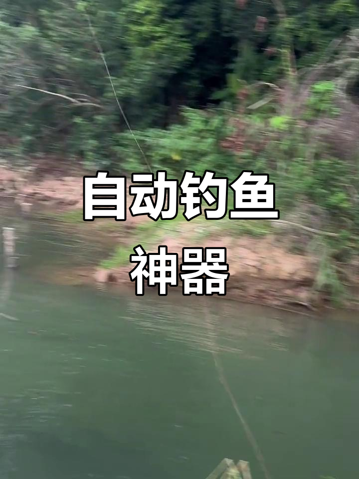 弹簧地插自动钓鱼器，轻松捕捉大鱼！