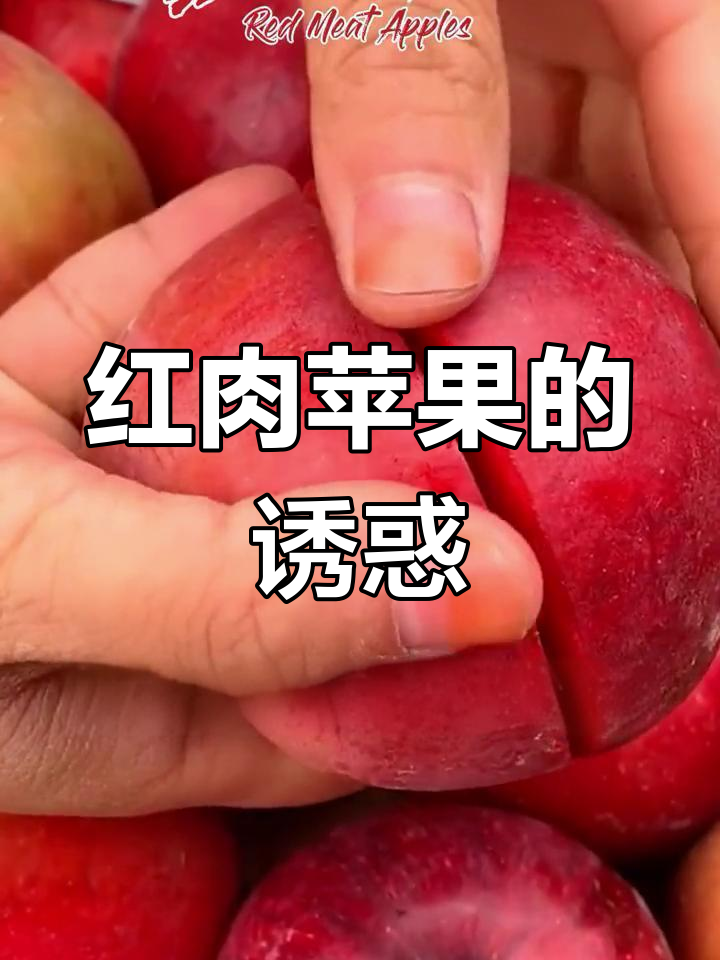 尝过红肉苹果吗?雪山下的美味,汁多味浓,营养满分!