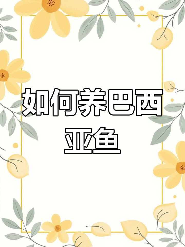 巴西亚鱼饲养指南