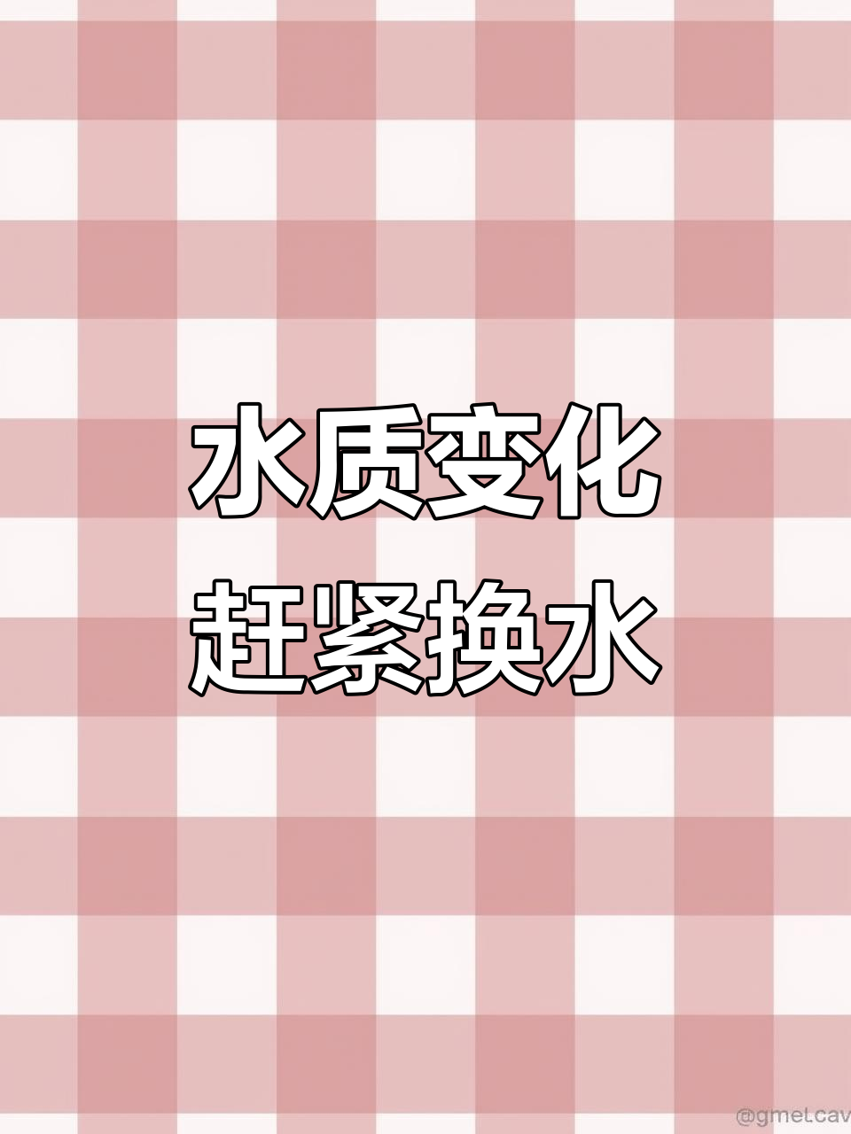 鱼缸水变浑、泡沫多?这些情况说明该换水了