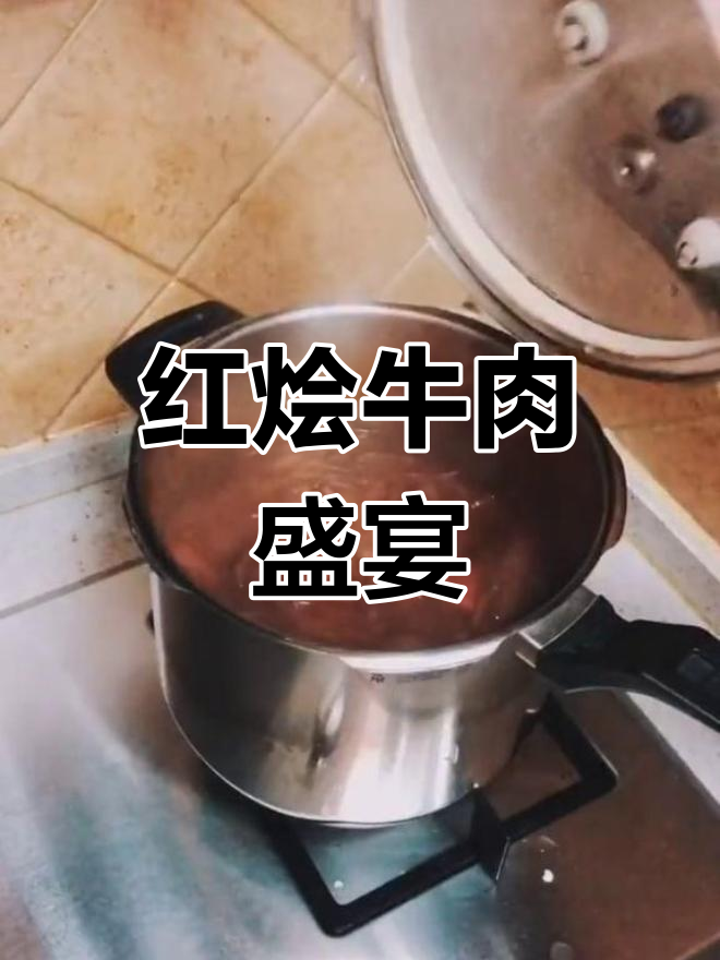 老妈送牛腩，做道俄罗斯风味红烩牛肉，太美味了！