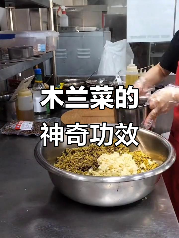 木兰菜:猪牙疼竟成救命粮,春天吃最美味