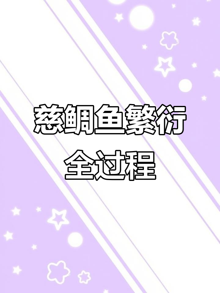 野生慈鲷鱼繁殖过程揭秘,如何度过生死时速