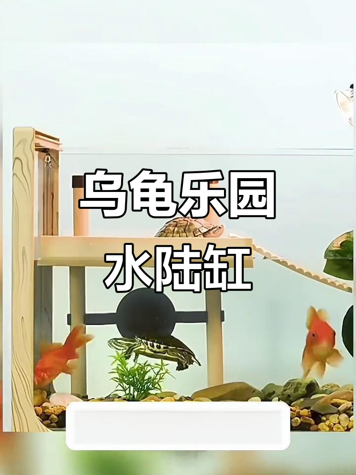 大号水陆缸,乌龟乐园,创意造景尽显自然之美