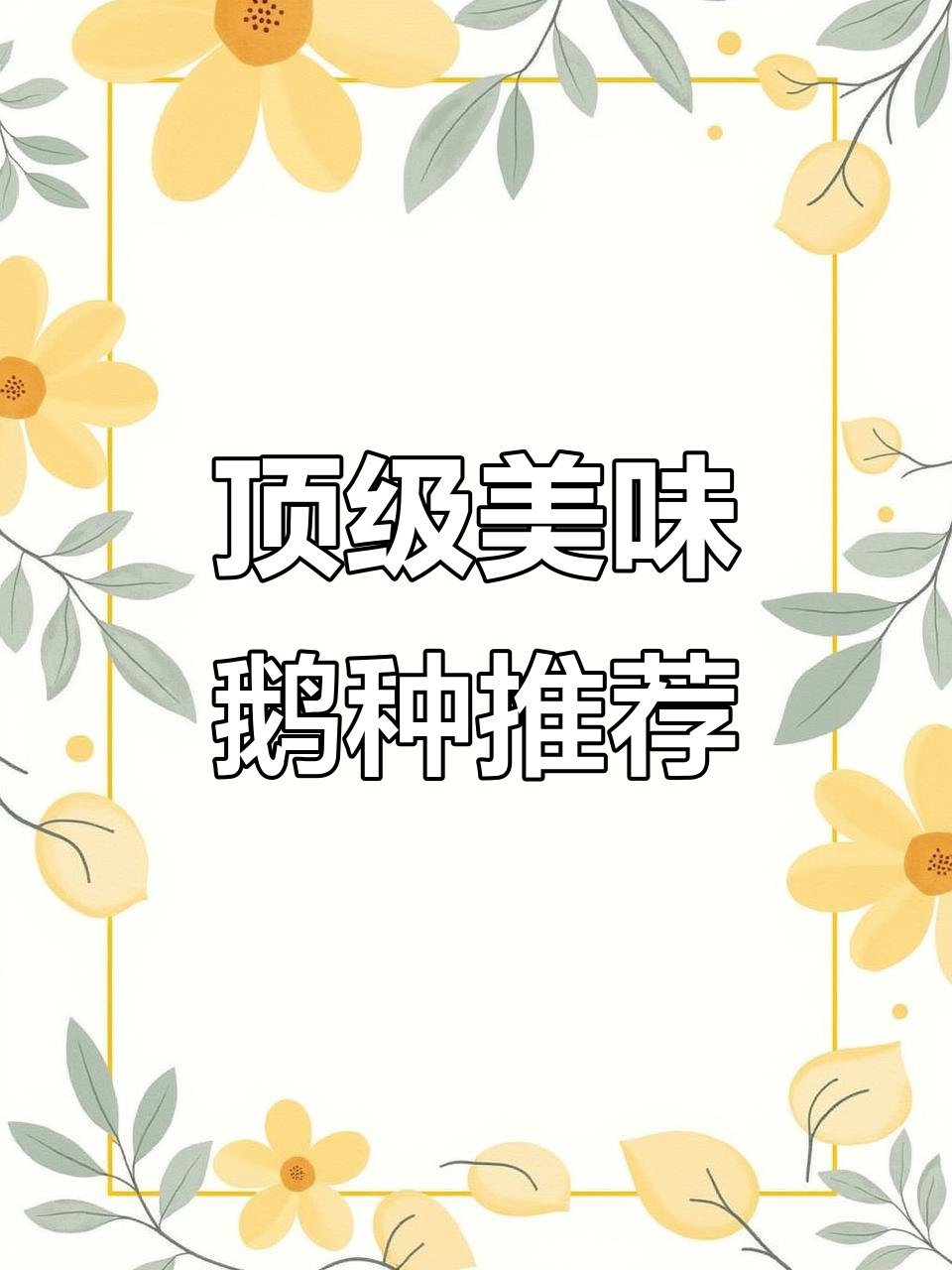 鹅品种大揭秘:狮头皖西白鹅、四川白鹅等口感与风味全解析