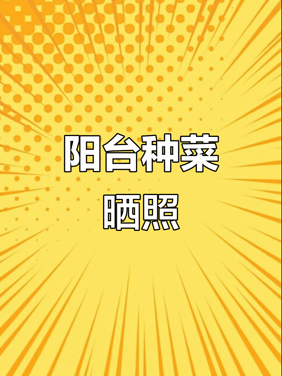 阳台菜园雨后长高,手机里全是菜的照片