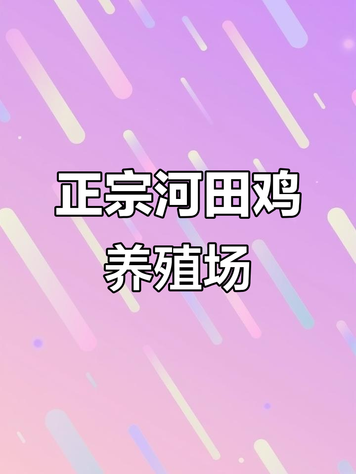 探访正宗河田鸡种鸡场，三黑三黄特色品种揭秘