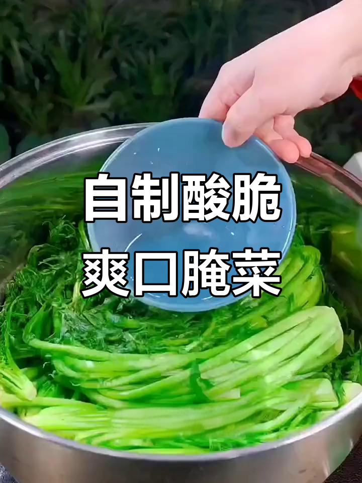 教你用菜叶子做酸脆爽口无盐酸菜，简单又美味