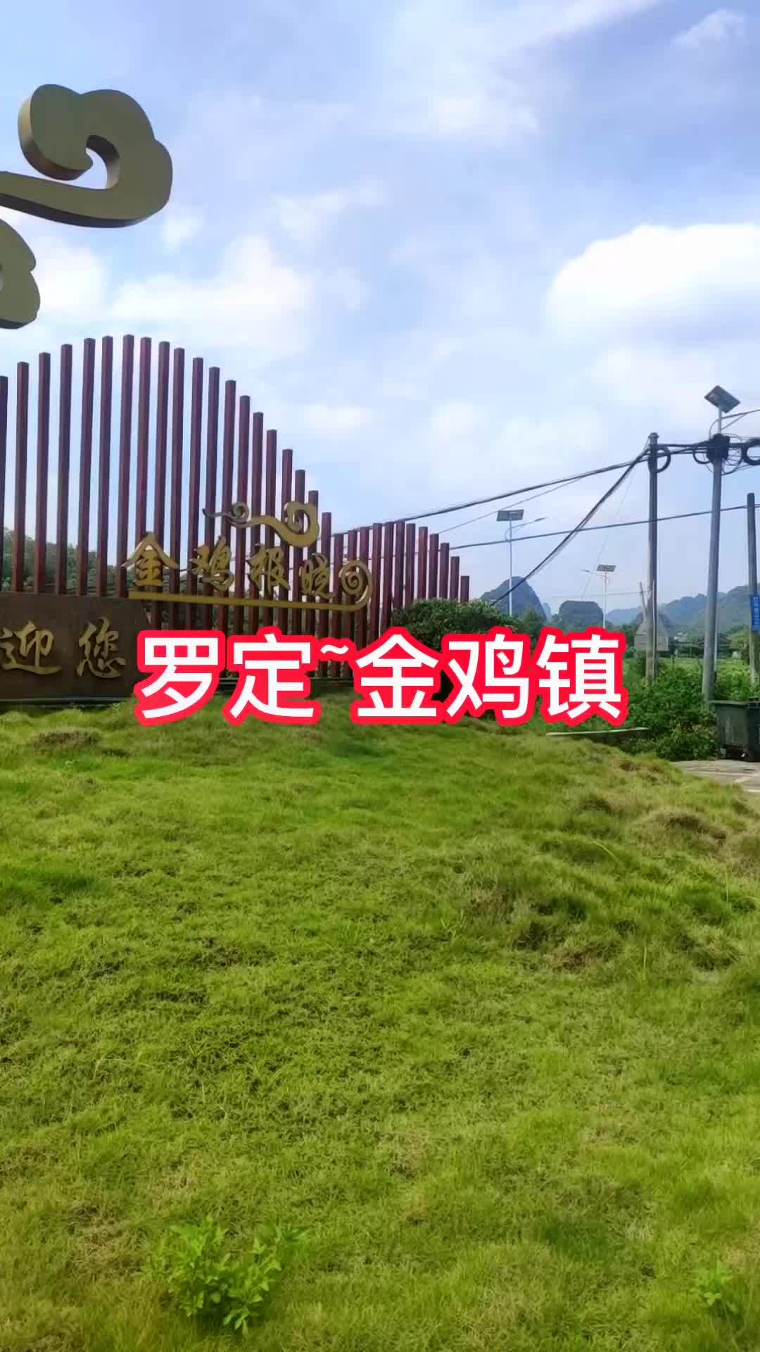 罗定～金鸡镇。金鸡报晓,厨师之乡。罗定 罗定攻略 橱窗有罗定特产