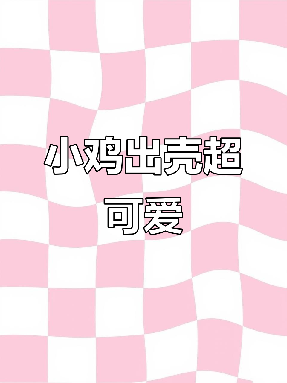 刚出壳的小灰鸡,太萌了!母鸡争窝踩坏蛋