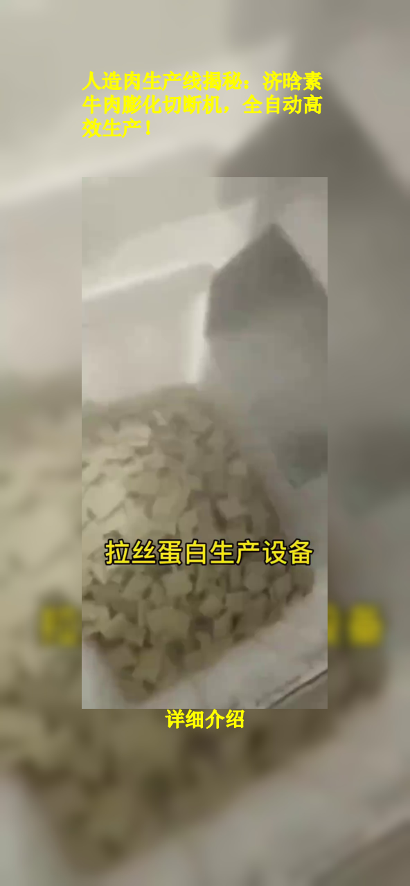 人造肉生产线揭秘:济晗素牛肉膨化切断机,全自动高效生产!