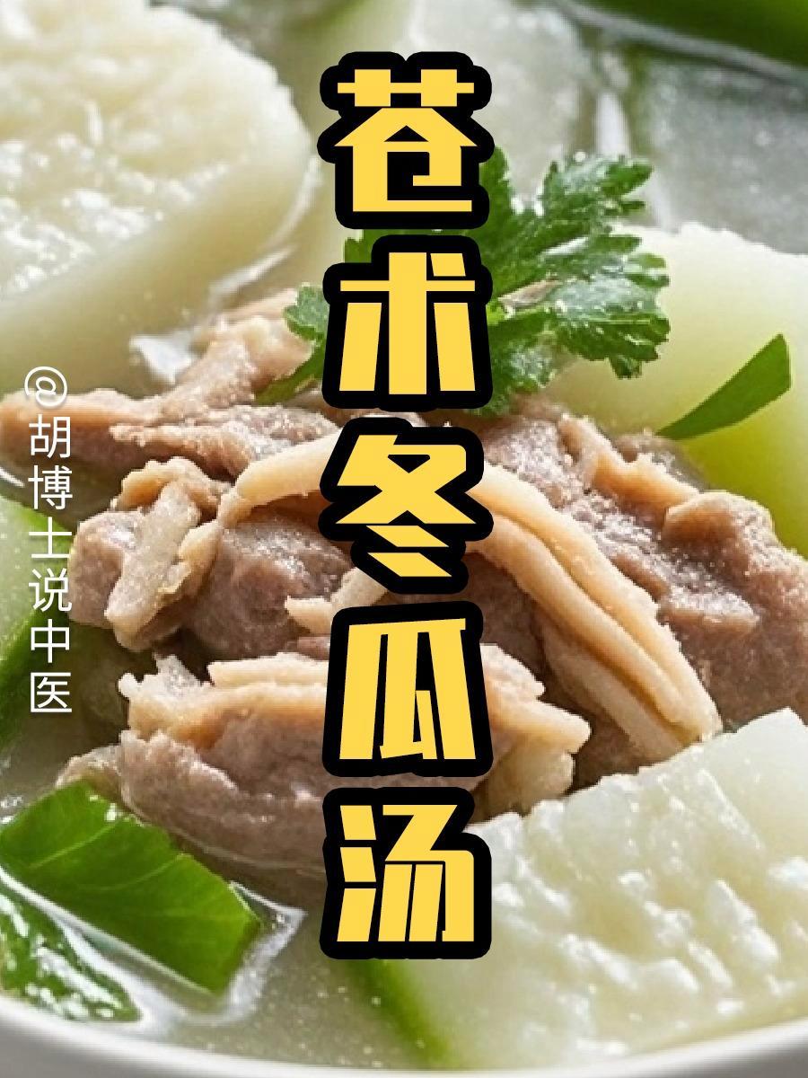 苍术冬瓜汤 苍术 冬瓜汤 冬瓜瘦肉汤 中药材 胡博士说中医