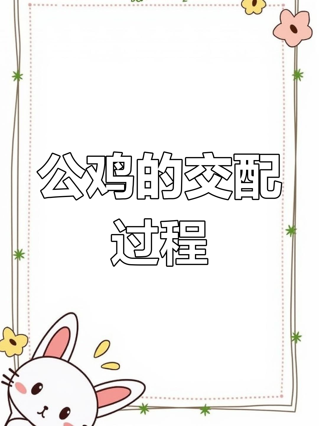 公鸡如何与母鸡交配?揭秘鸟类独特繁殖方式