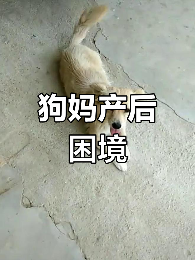 用自己照片做头像的人,往往具备这些特质