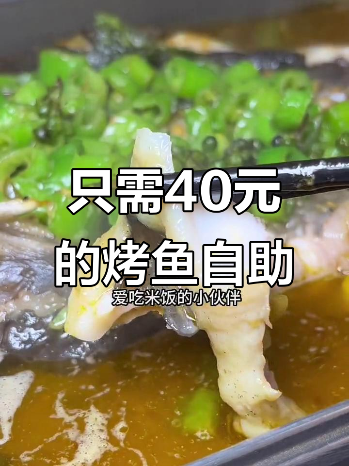 濮阳性价比超高的烤鱼自助，40元就能吃饱！