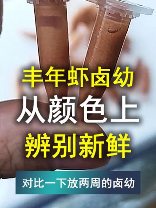 如何从颜色上辨别,丰年虾卤幼的新鲜度