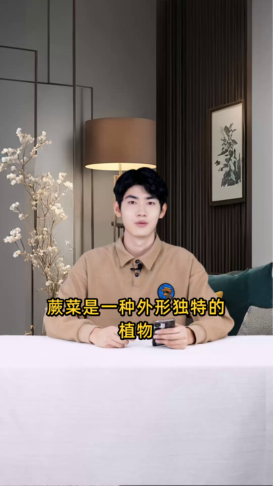 蕨菜长什么样子?它的外观特征有哪些细节描述?