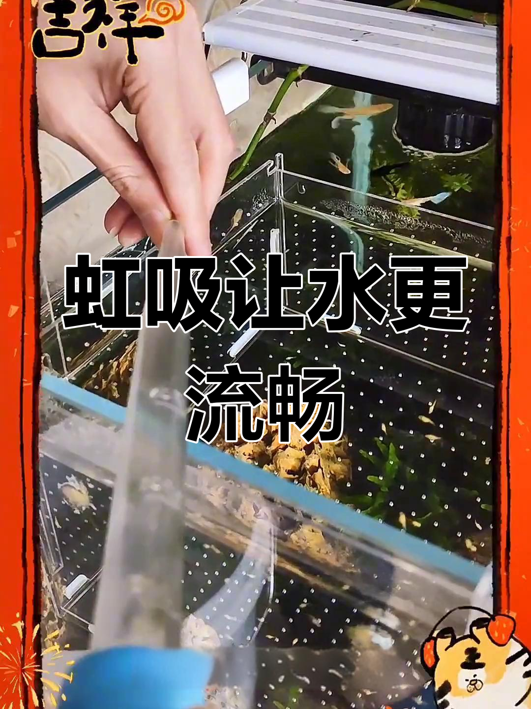 用虹吸原理实现鱼缸水循环