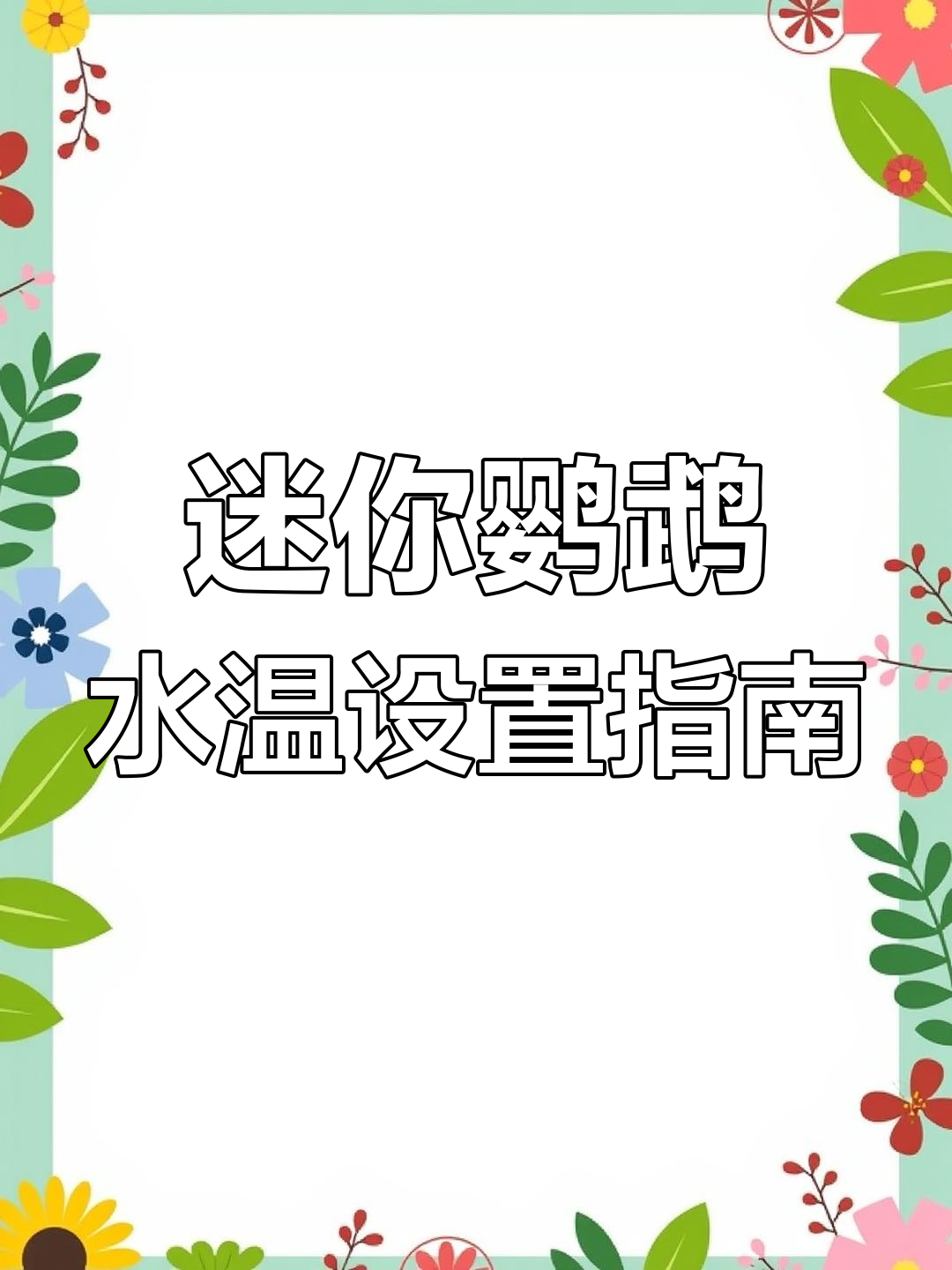 迷你鹦鹉鱼饲养温度全解析:四个阶段如何调节