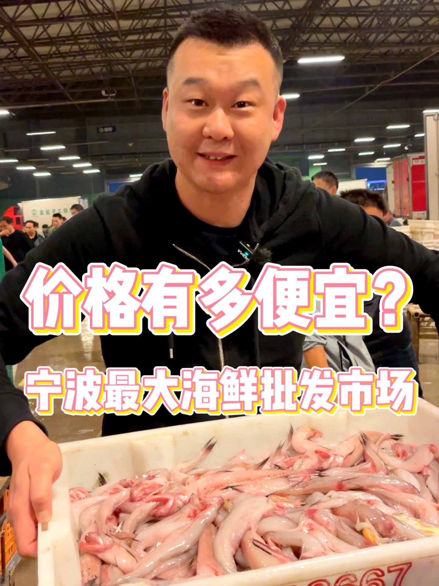 宁波最大的海鲜批发市场,价格又多便宜!