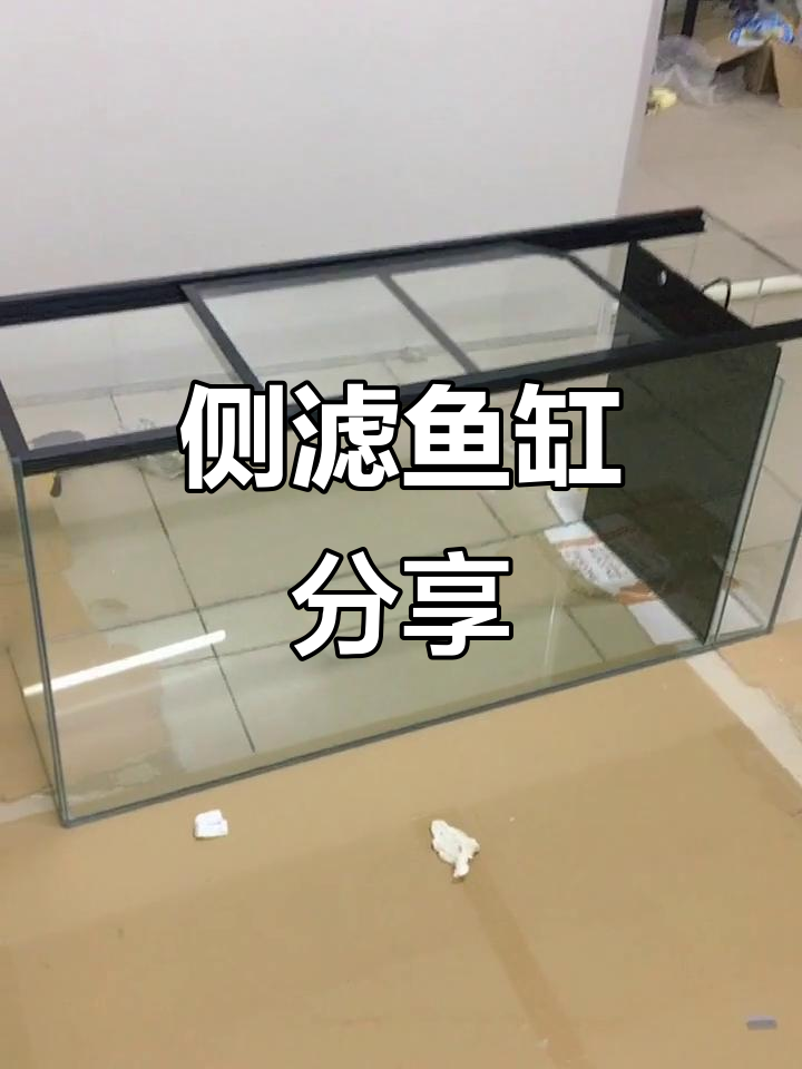 120L鱼缸,侧滤设计,欢迎关注交流!