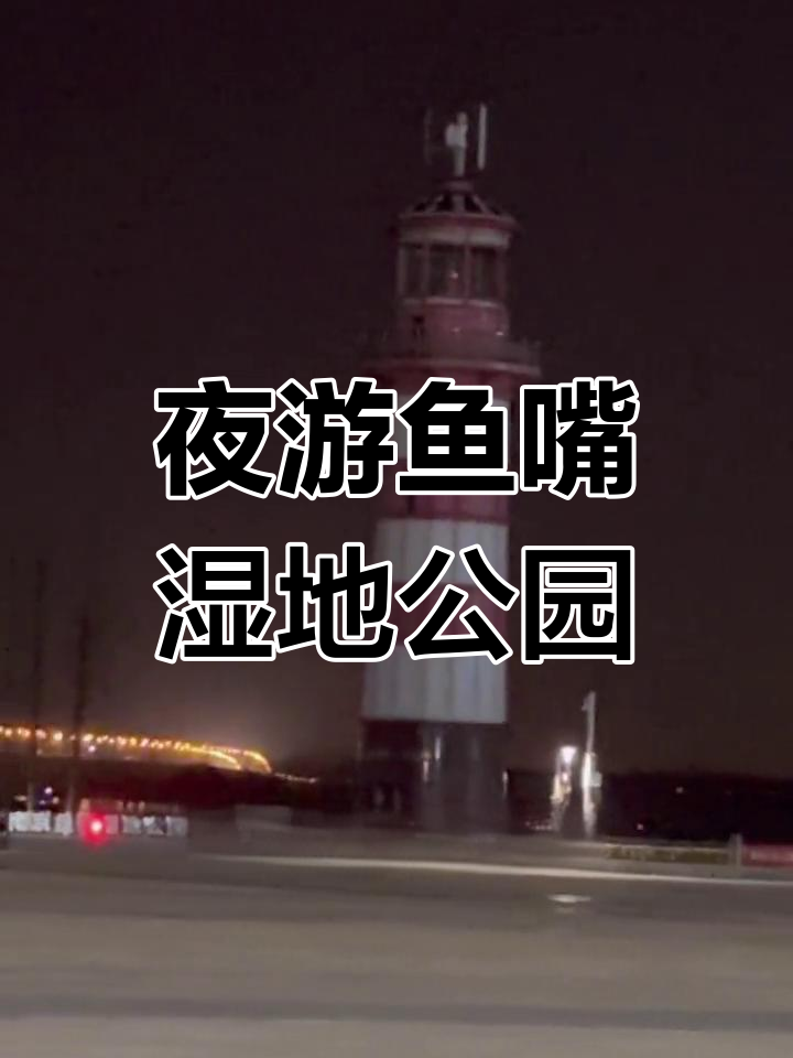 南京鱼嘴湿地公园夜晚漫步,五桥美景尽收眼底