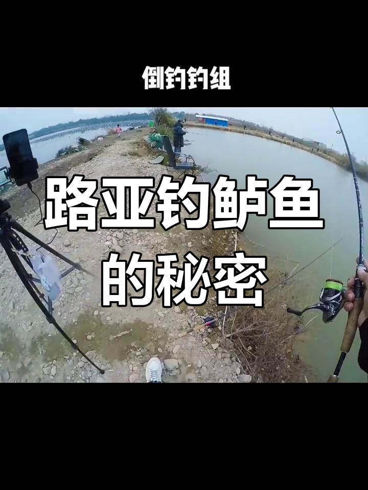 倒钓路亚技巧揭秘,如何用刀尾面条虫诱捕鲈鱼