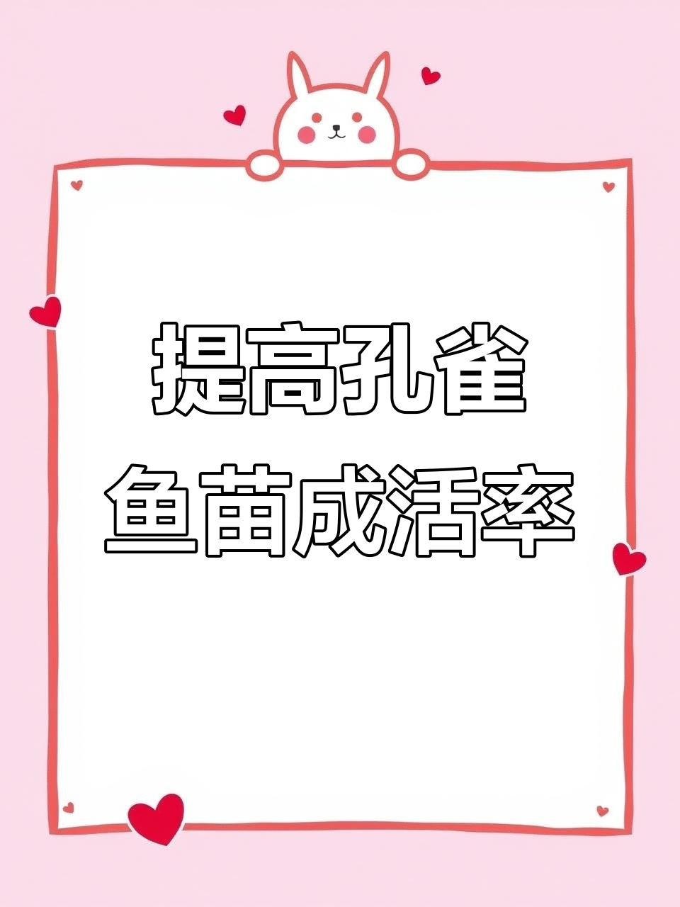 孔雀鱼繁殖技巧:如何提高小鱼仔成活率