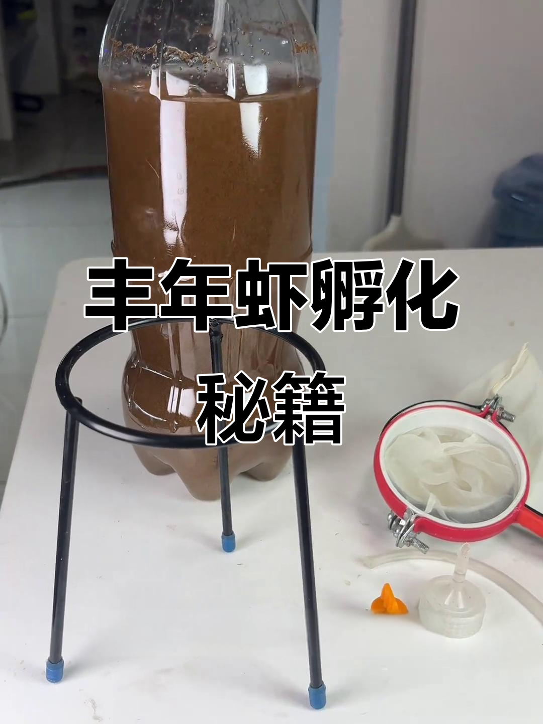 丰年虾孵化轻松学,简单又高效!