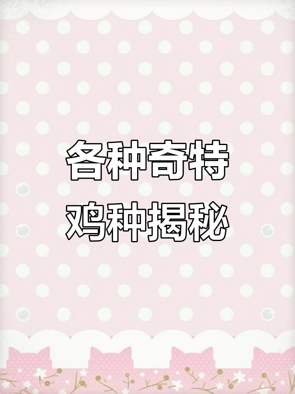 这些鸡品种你认识吗?波兰、帽子、菊花头,一网打尽!
