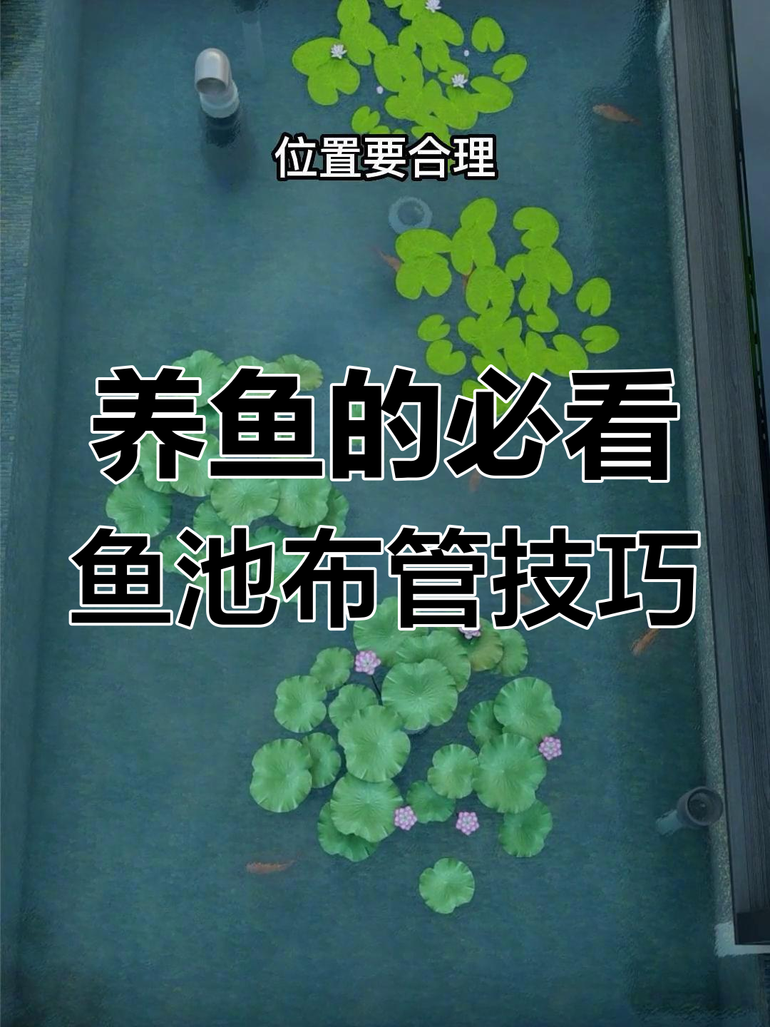 鱼池过滤系统关键,布管设计不容忽视